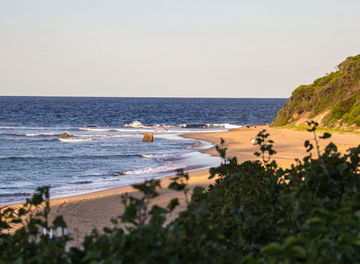 Tile huckberry one thing mozambique whitney james header
