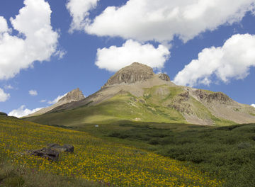 Tile one thing san juans header 2