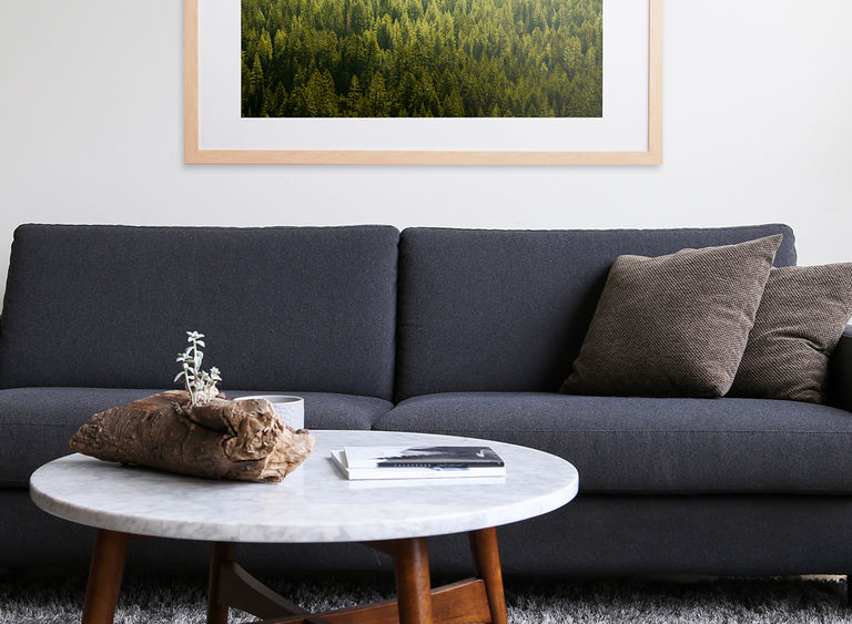 Image journal houseplants header