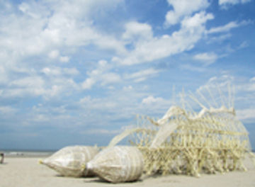 Tile strandbeest1