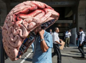 Tile brain.jpg?ixlib=rails 2.1