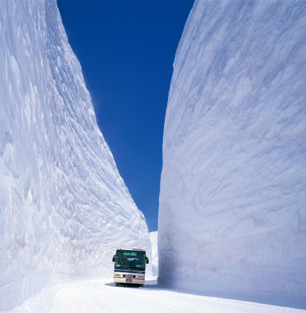 Snow Vertigo | Huckberry