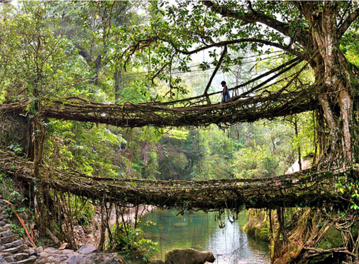 Hero rootbridge mayrobinson.jpg?ixlib=rails 2.1