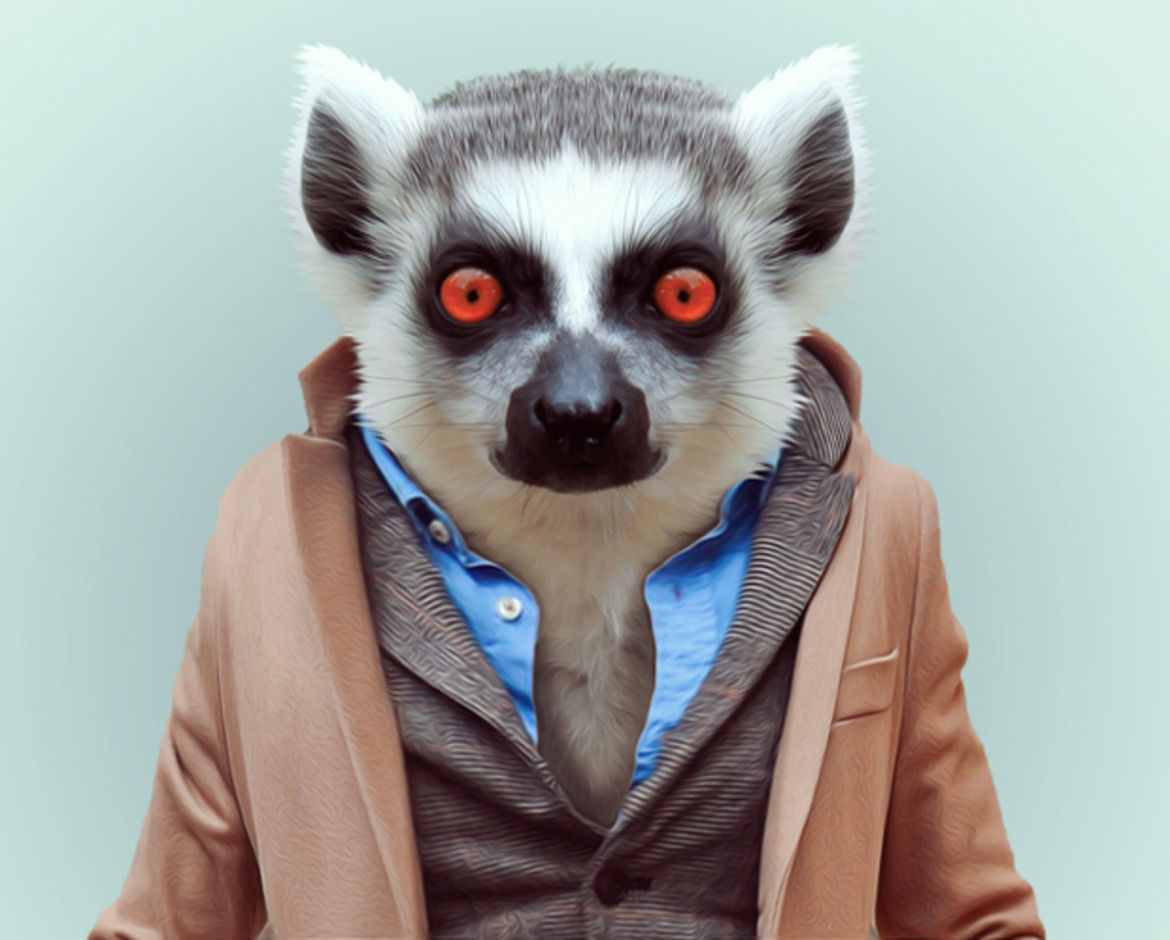 Hero animalfashion22